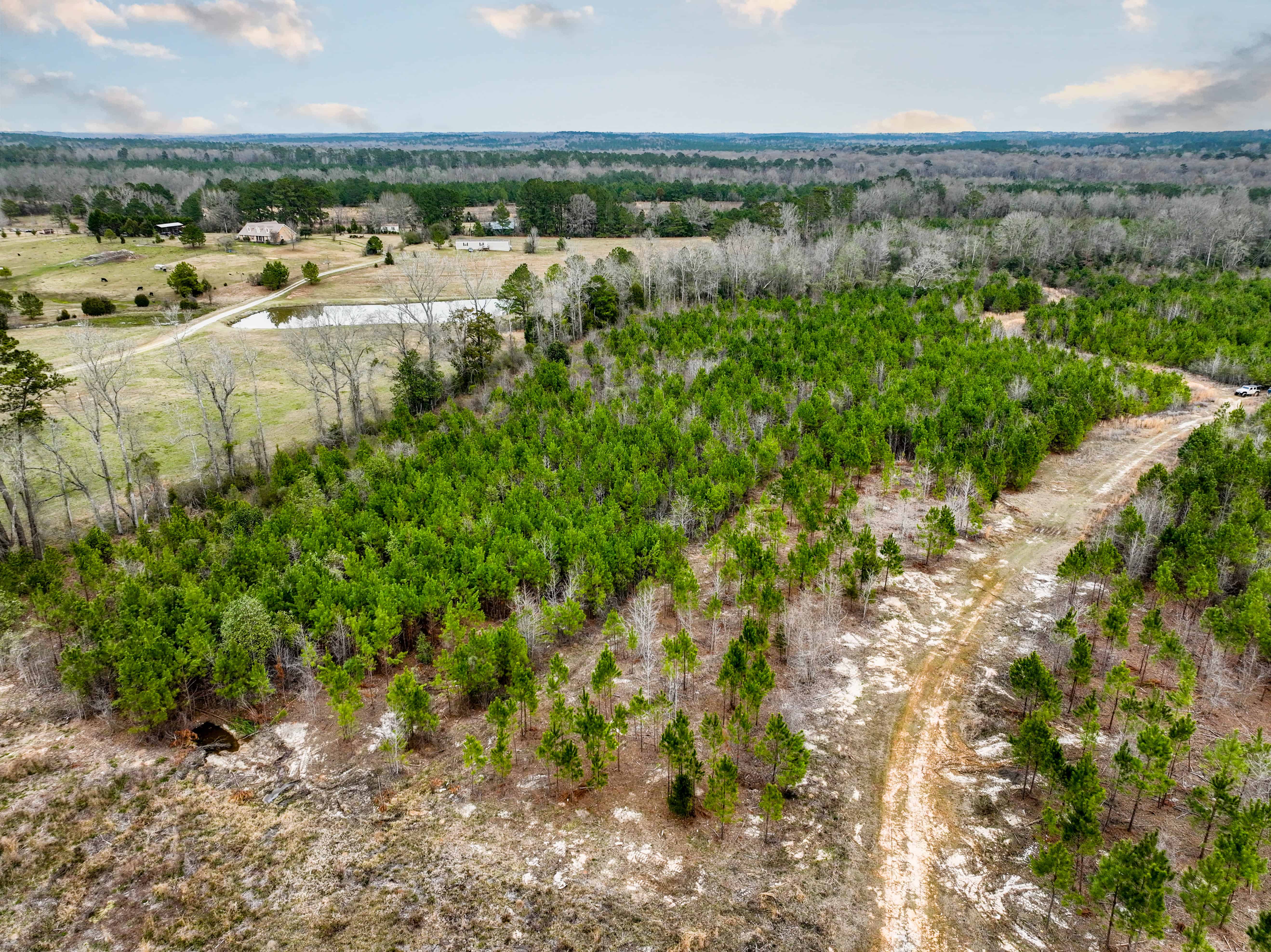 Highway 167 Jack AL 36346
