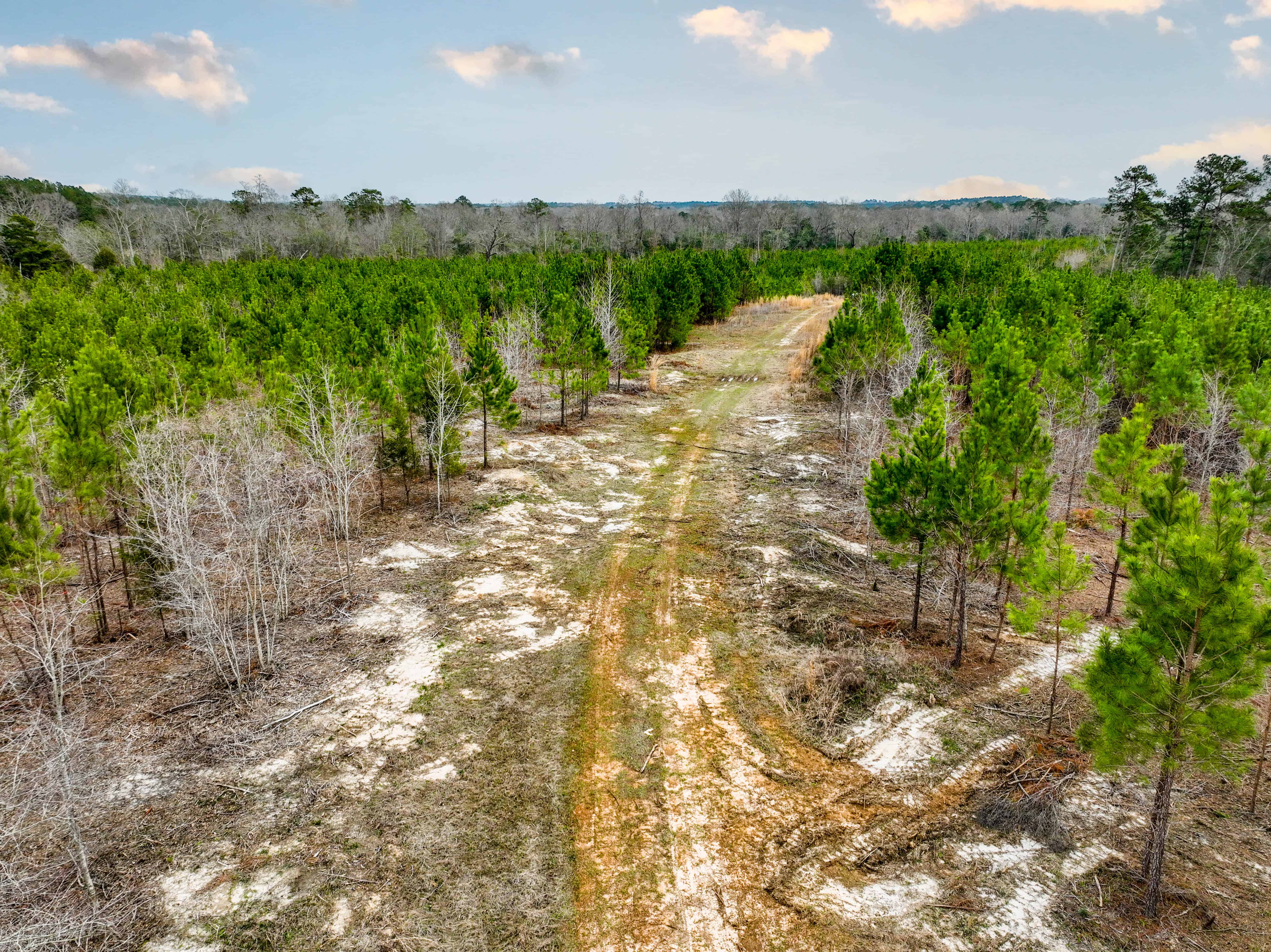 Highway 167 Jack AL 36346