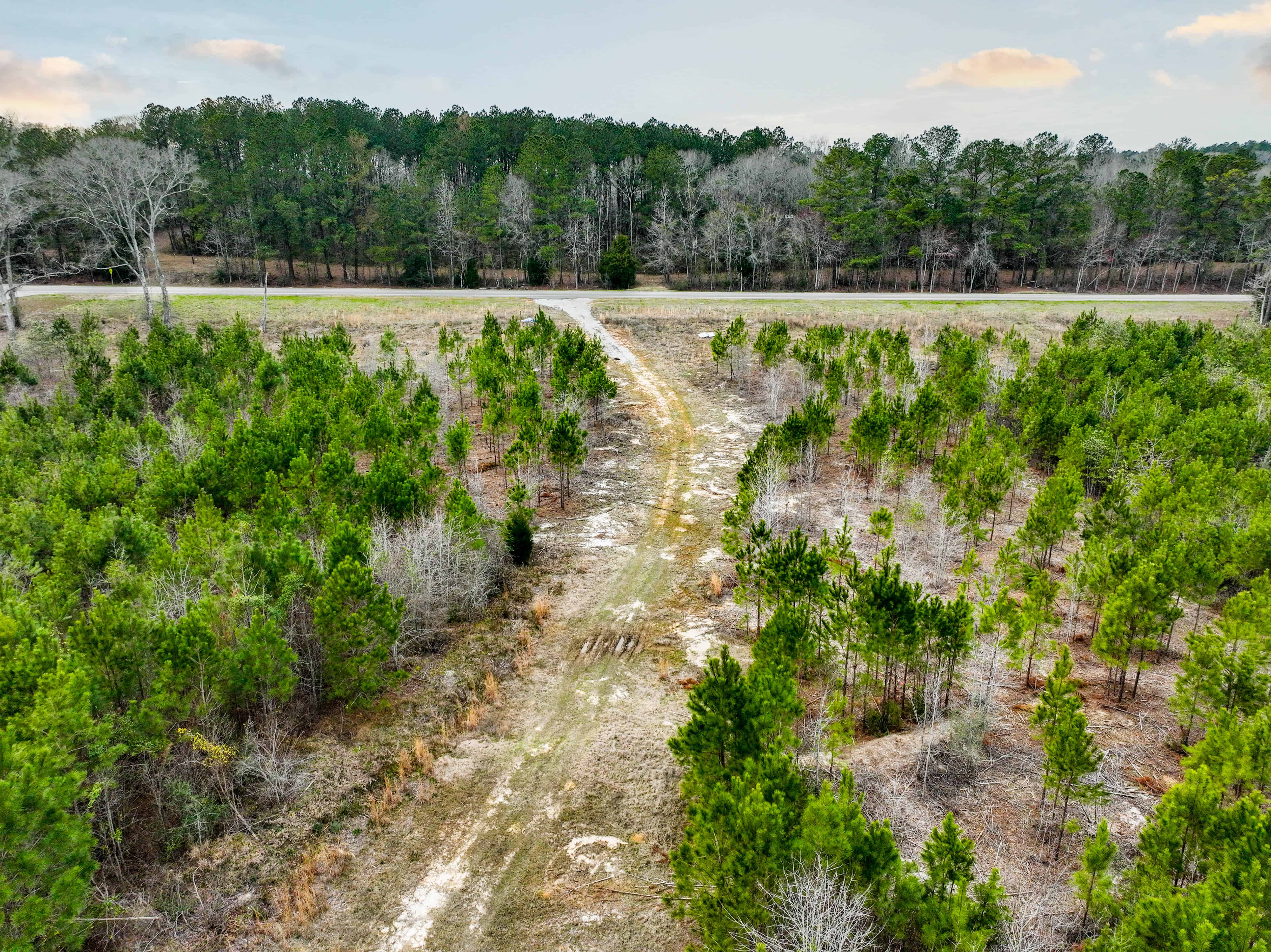 Highway 167 Jack AL 36346