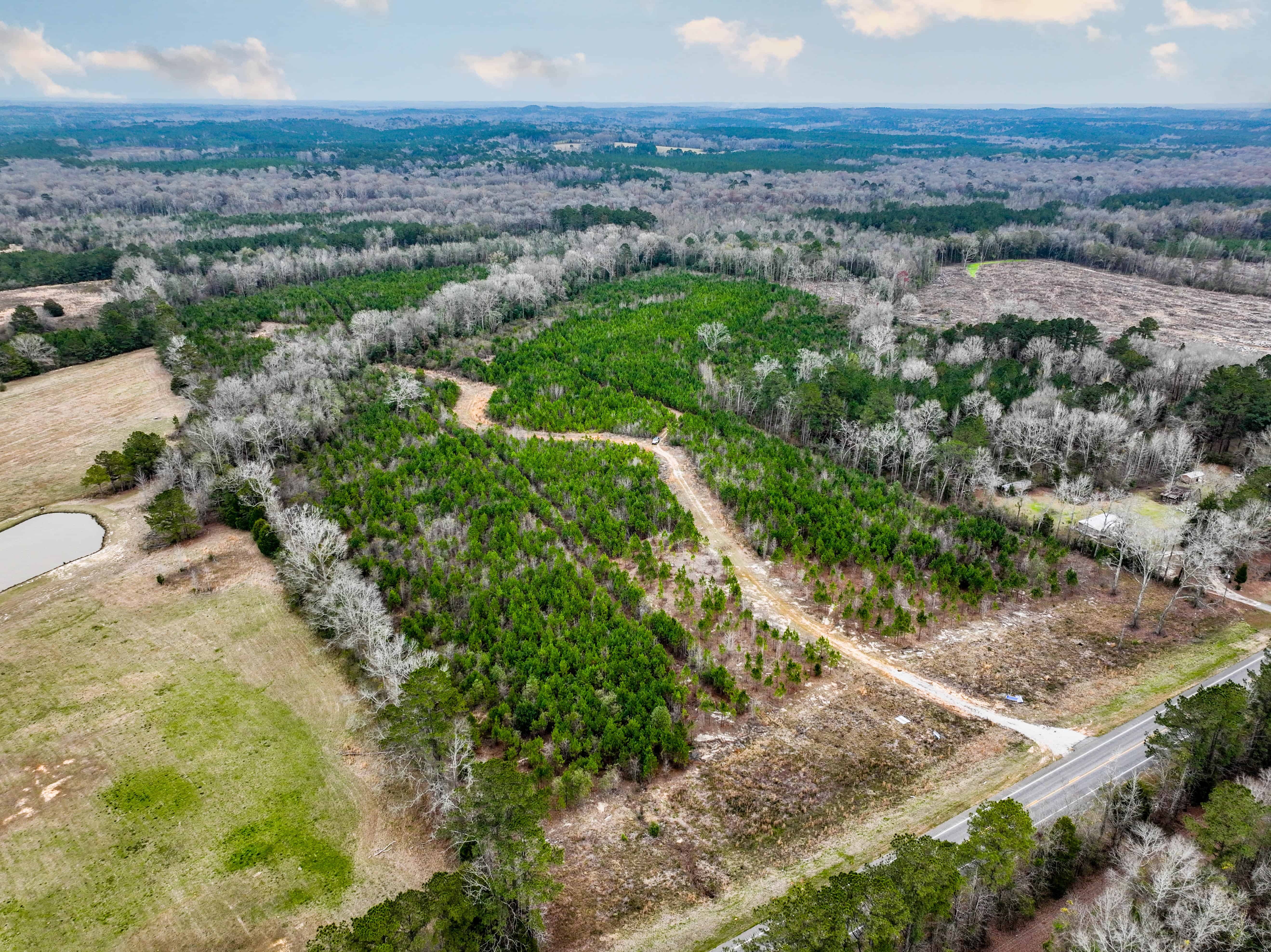 Highway 167 Jack AL 36346