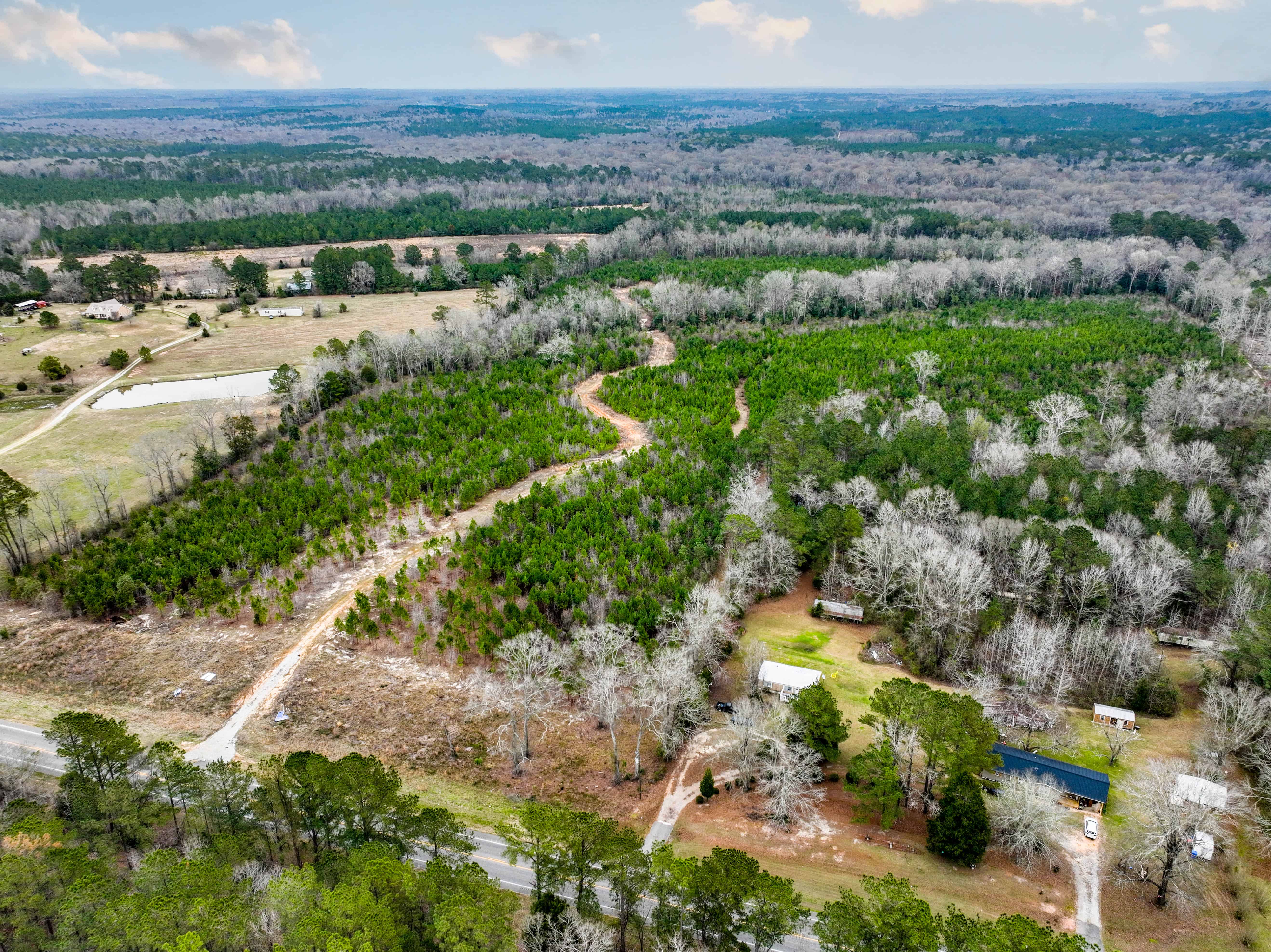 Highway 167 Jack AL 36346