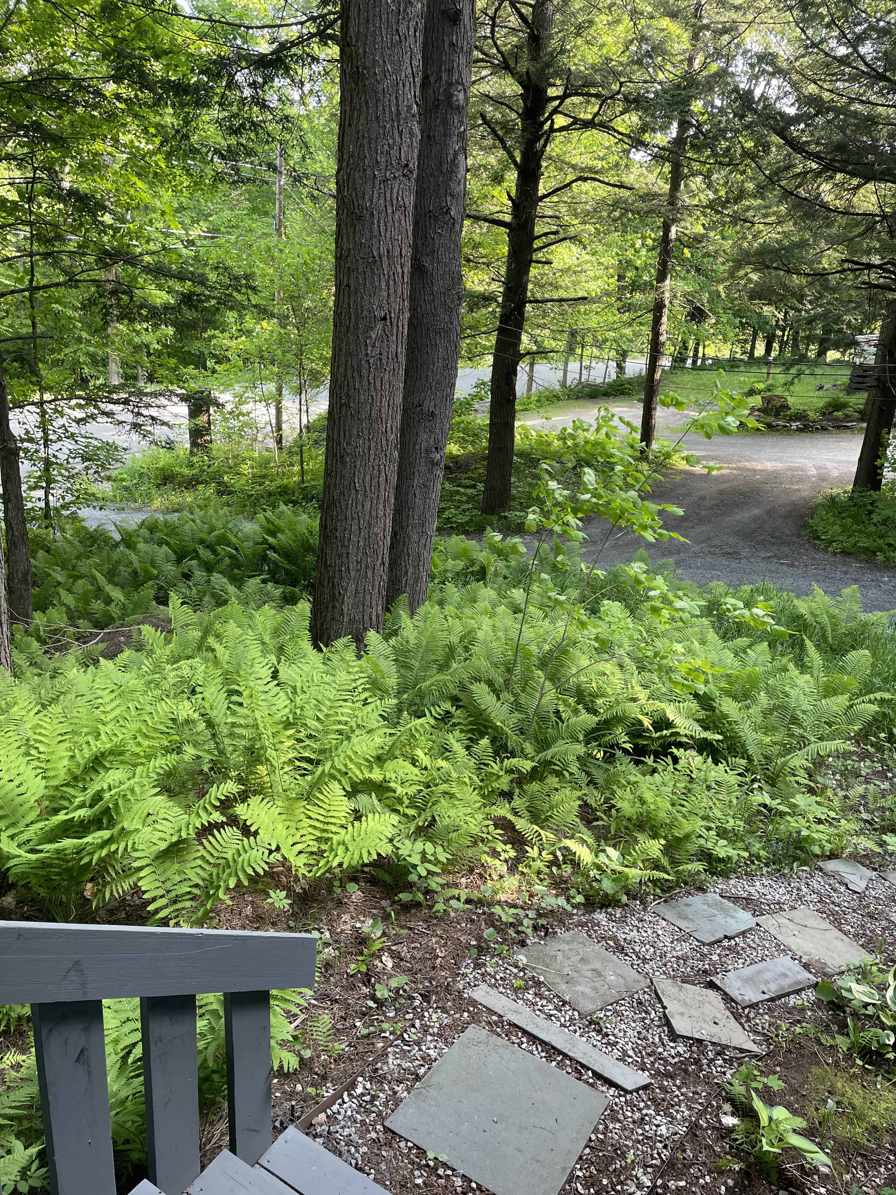 Winhall VT 05340