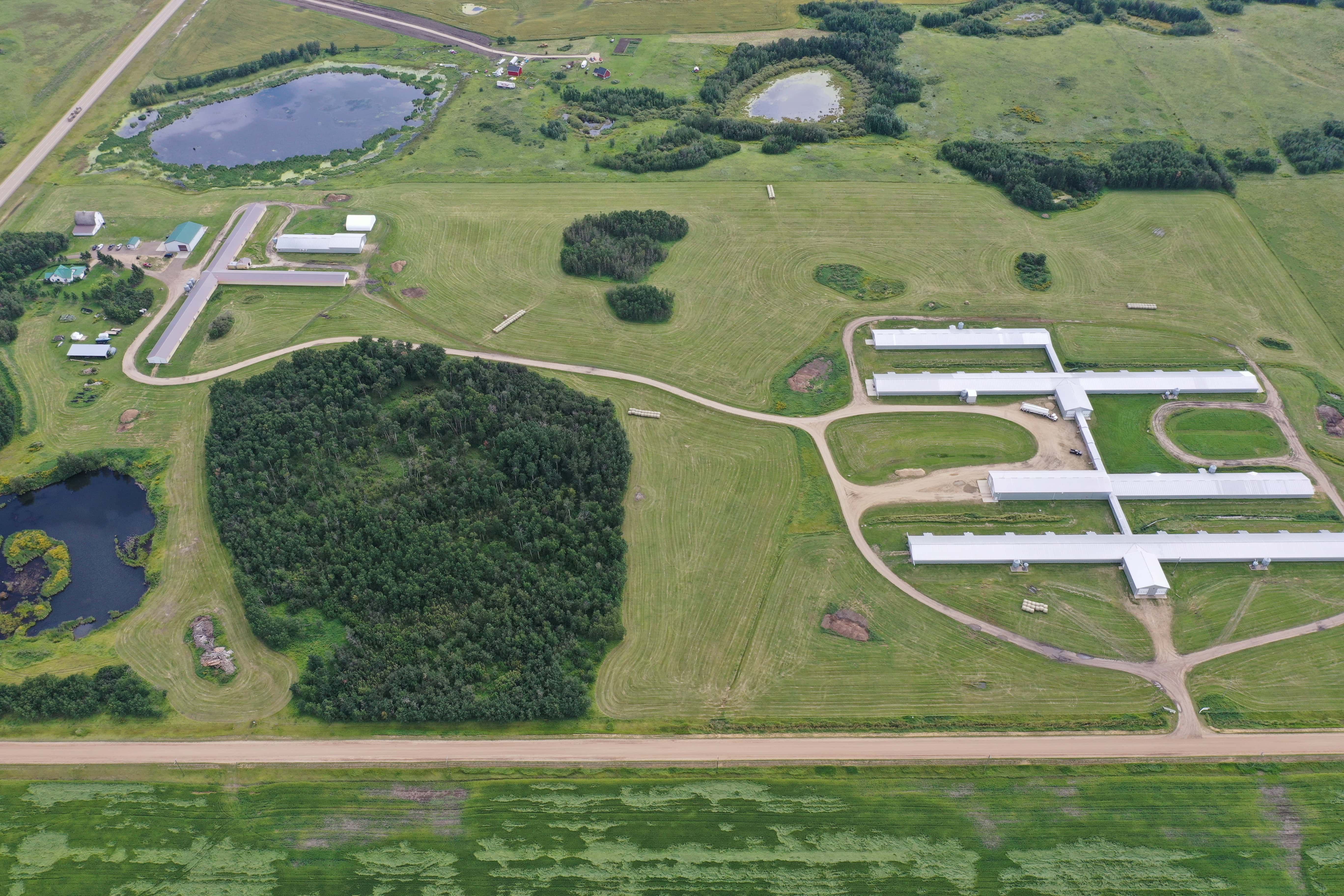 44566 Highway 21 New Norway AB