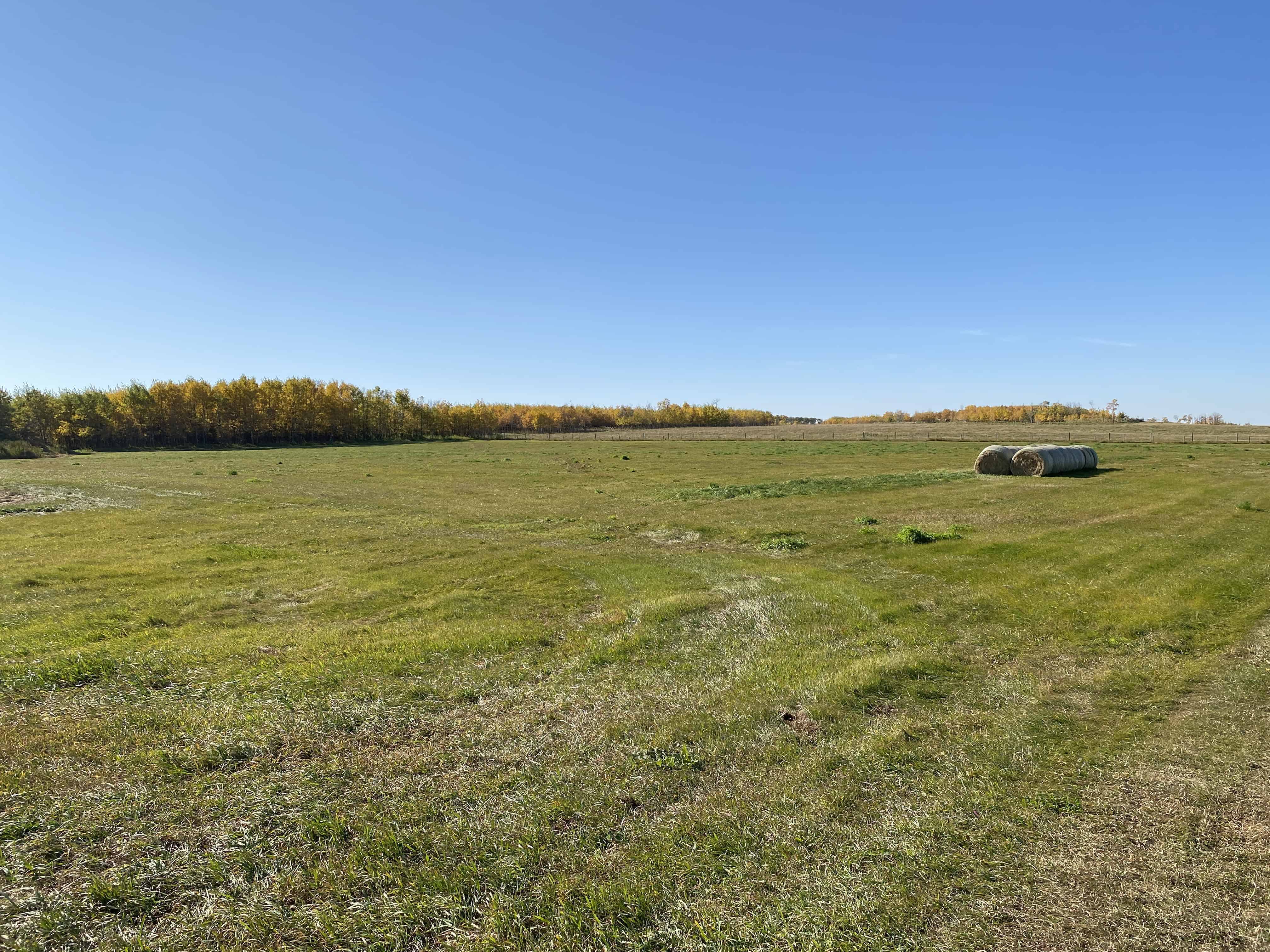 44566 Highway 21 New Norway AB
