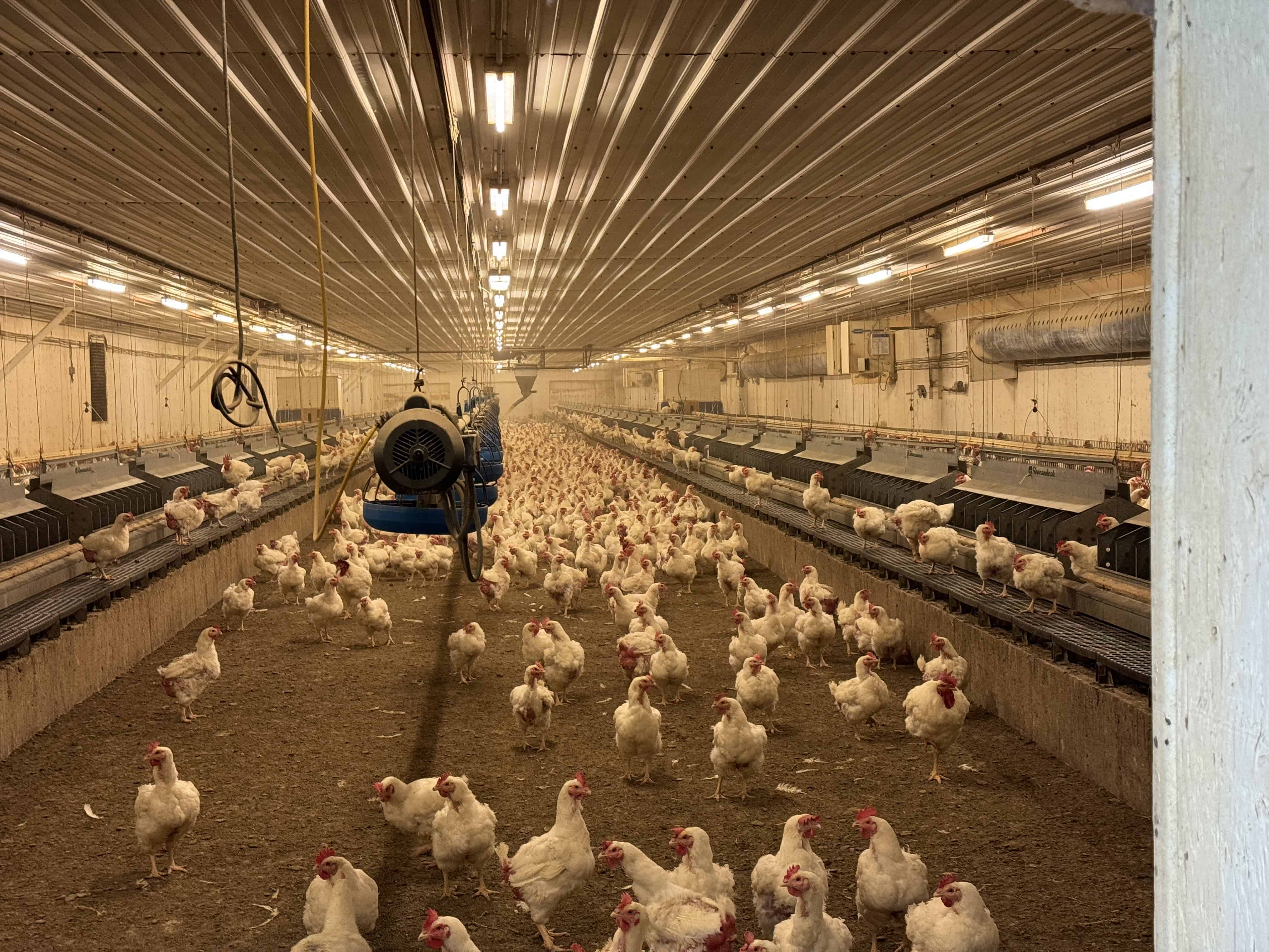 44566 Highway 21 New Norway AB