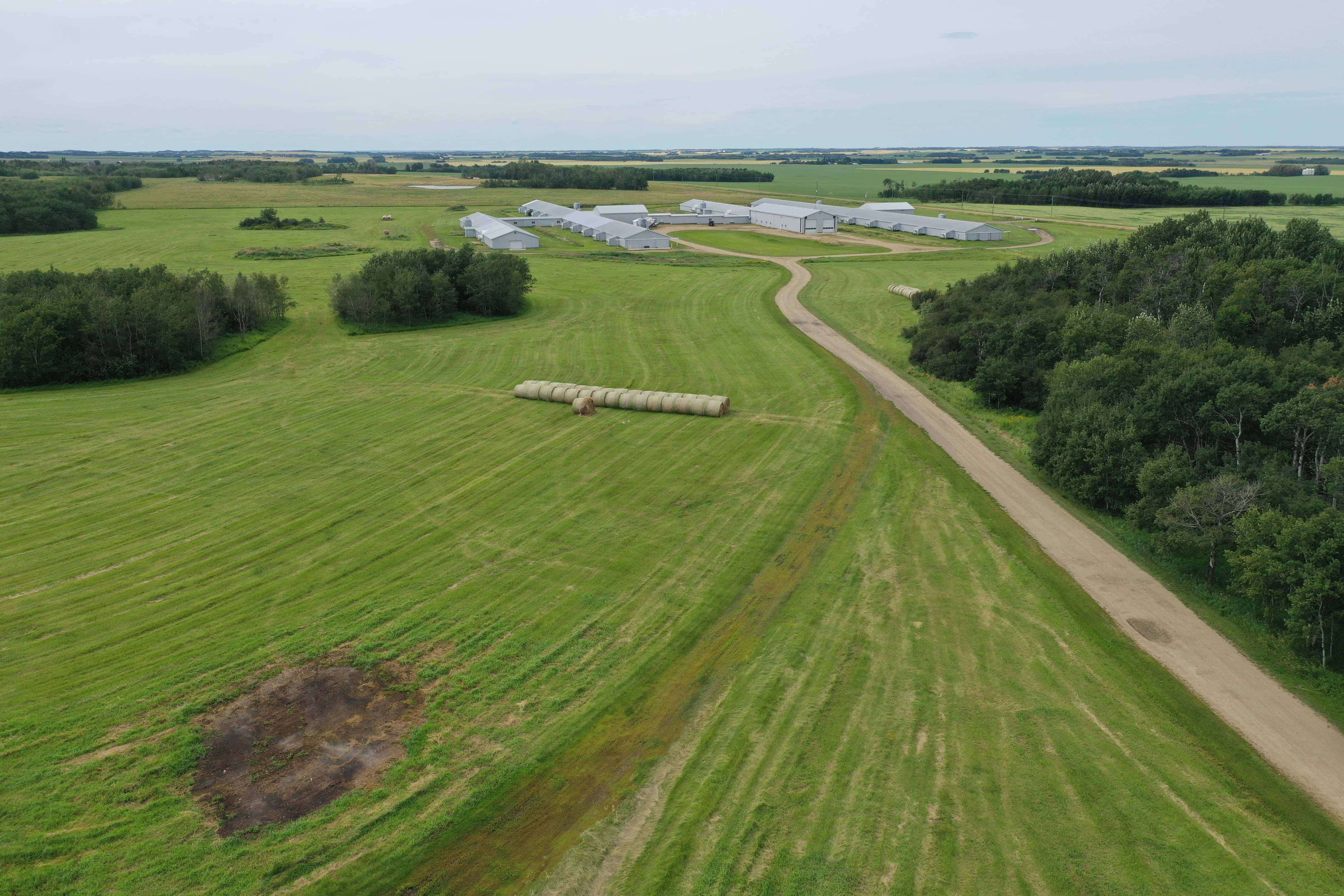 44566 Highway 21 New Norway AB