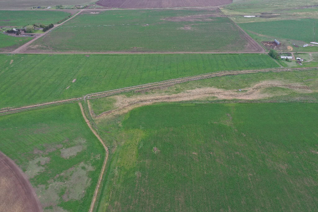 173030 Highway 875 Tilley AB T0J3K0