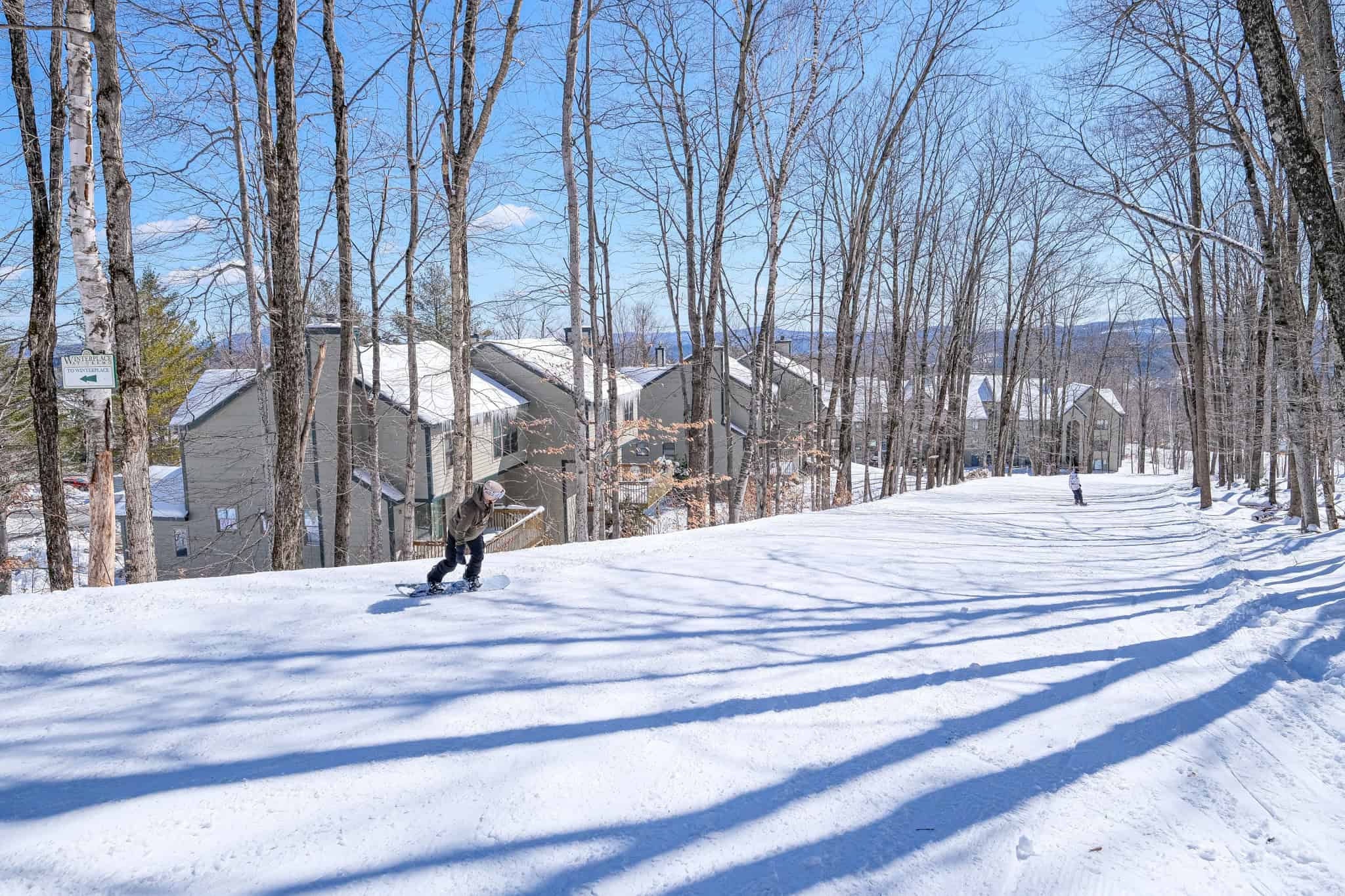 Ludlow VT 05149