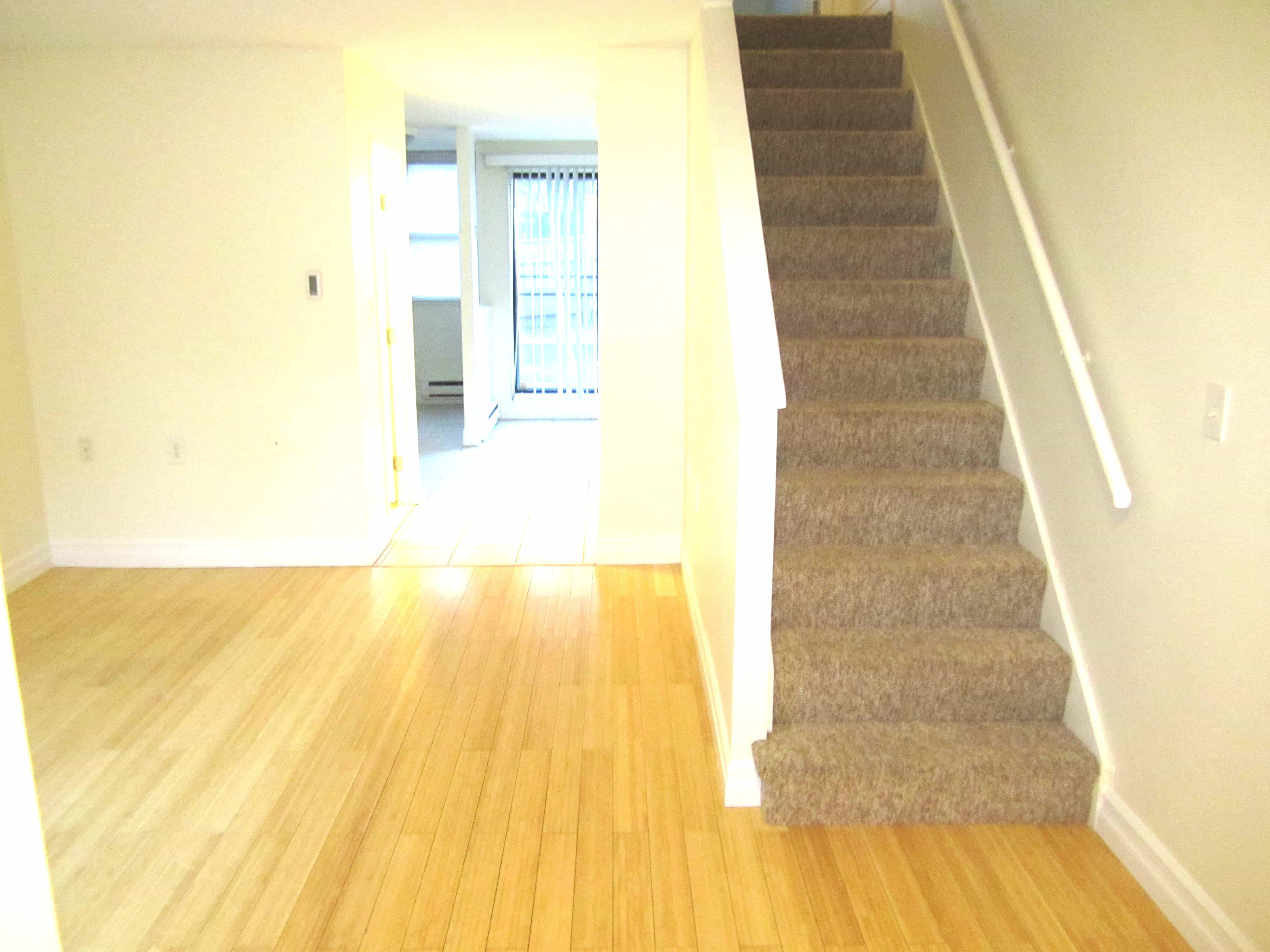Brookline MA 02446
