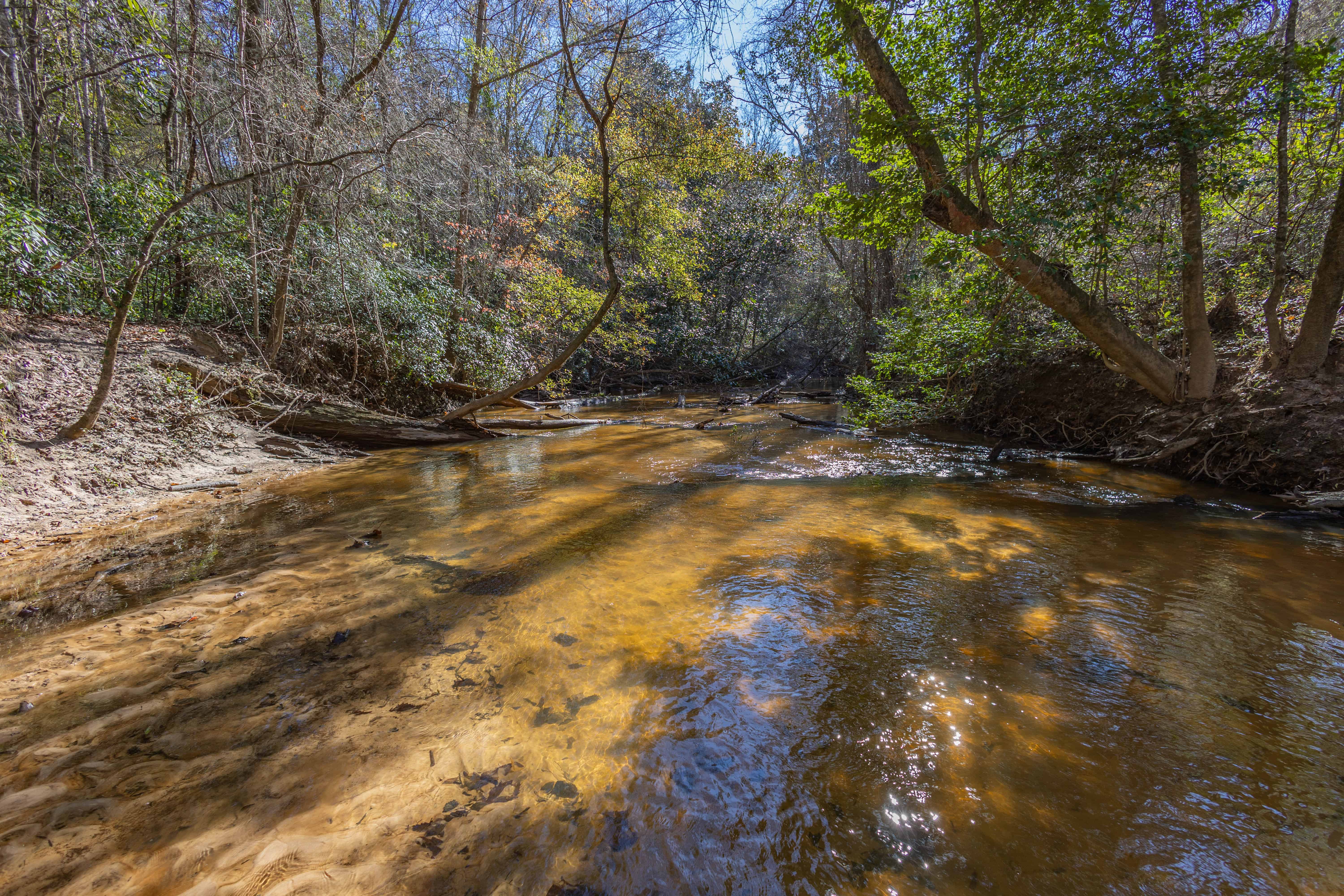 County Road 38 Ozark AL 36360